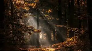 sound of falling leaves