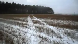 ЮпоПлан. вечерний продубас.. лиса) # 1