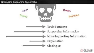 Organizing Supporting Paragraphs