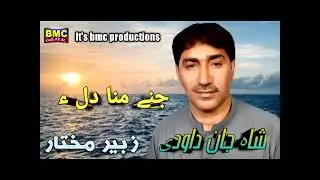 Shah Jan Dawoodi Song  Jhany Mana Dil  Shahir   Zubir Muktar