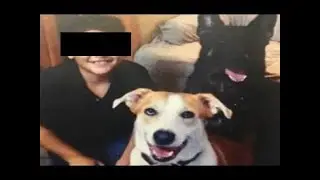 Nunca te pongas lagaña de perro en los ojos - Caso Robert Baker
