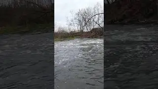 Кошелек на воблер #shorts #рыбалка #fishing #поклевка #воблеры