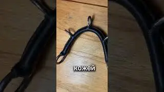 Оголовье ковессон для работы лошади в  руках 