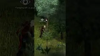 Learn Foraging in Project Zomboid 