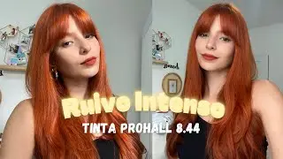 PINTEI COM A TINTA SELECT COLOR 8.44 da ProHall | Ruivo acobreado intenso
