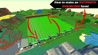 How to make an automatic sugarcane farm in Minecraft 1.16.5+
