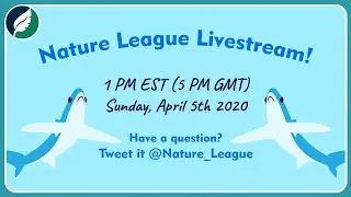 Livestream 4-5-2020