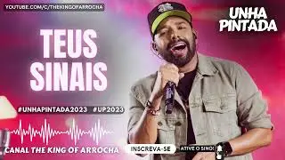 Unha Pintada (Teus Sinais) Música nova! #unhapintada2023 #teussinais #unhapintada