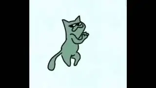 awesome kitty dance