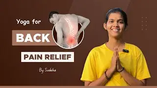 Yoga For Back Pain | How to Manage Back Pain | Sudeha Yoga