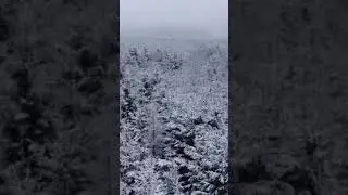 Blick auf den 
