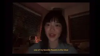 ytp habeeb