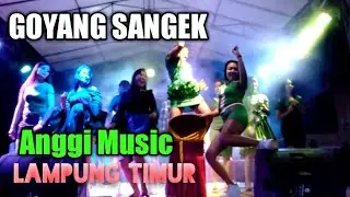 Orgen hot, lampung timur goyang sangek, live brawijaya patok 20