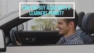 Can I Buy Car With Learners Permit | Ferguson Insurance