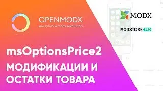 Модификации товара интернет-магазина modx | Обзор msOptionsPrice2