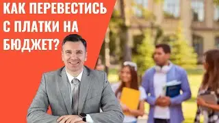 Как перевестись с платки на бюджет?