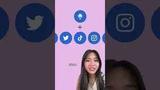 How to Grow Your Followers Fast