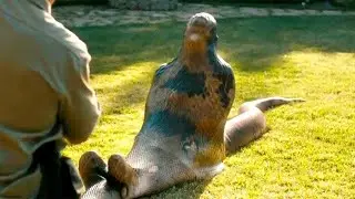 10 Personnes Qui Ont Été Mangées Par Des Animaux Sauvages