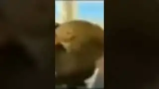 memes do discord #90