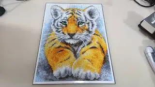 Снова хобби жены - Тигрёнок - 