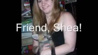 More of Tod the Fox