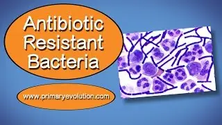 Antiobiotic resistance