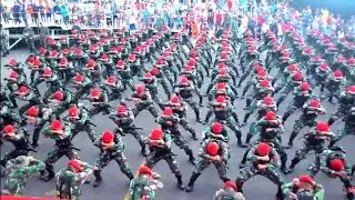 Viral 1 Lawan 2. anggota TNI dan Polisi.