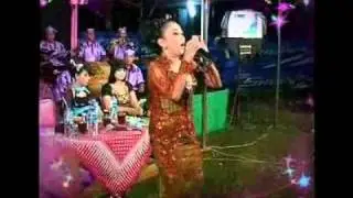 sedheng - Susis, maya