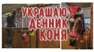 VLOGMAS пошёл не по плану/ 3 дня из жизни конника ❄️🎄❤️