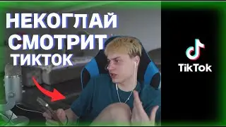 НЕКОГЛАЙ СМОТРИТ ТИКТОК