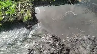 Боремся с паводком. Пока счёт 1:0 в нашу пользу)