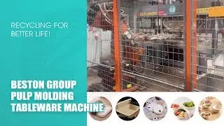 🍽️ Pulp molding Tableware Production: Machine Operation Site