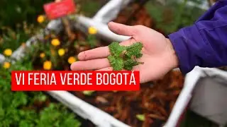 VI Feria Verde Bogotá