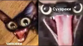 Делала 3 дня с перерывами:_
