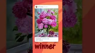 Пионы 🌺