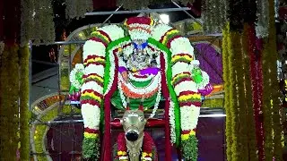 🔴 Day 6: వృషభ వాహనము | Vrishabha Vahanam | ‎@Kanipakam  Brahmotsavam 2024