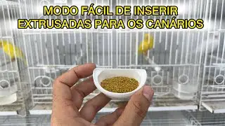 MODO FÁCIL DE INSERIR EXTRUSADAS PARA OS CANÁRIOS