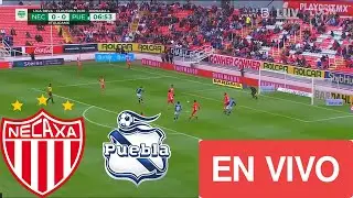 ⚽🔴 Necaxa vs Puebla EN VIVO y en Directo Horario ⭐  𝐋𝐈𝐆𝐀 MX Apertura 2021 🏆