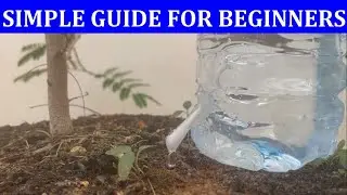 DIY Drip Irrigation: Transforming a Water Bottle and Q-tip into a Smart Watering System for Plants
