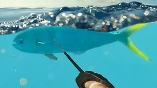 CRAZY Mahi Caught ME By Surprise!