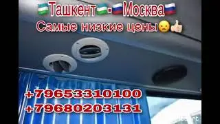 срочно открылся граница москва-ташкент такси +7903(329)84,83