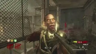 PLAYING THE MOST TERRIFYING COD ZOMBIES MAP