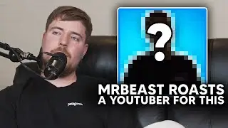 MRBEAST ROASTS A YOUTUBER FOR THIS!