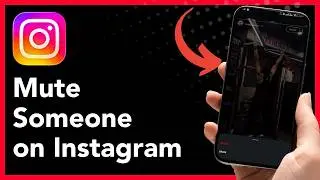 How To Mute Someone on Instagram