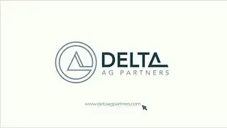 Logo Animation Done for Delta AG