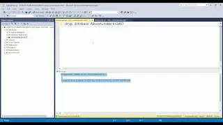 Cannot drop Database 
