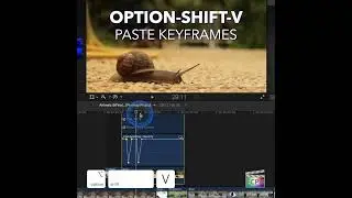 Final Cut Pro Shortcut | Option-Shift-V | Paste Keyframes