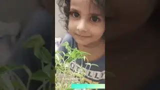 3 year old makes an easy microgreen omelet | #shorts #shortvideo #short