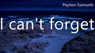 LANY - Malibu Nights (Lyrics)