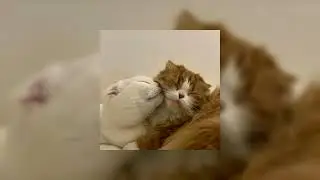 песни, под которые хочется любить
